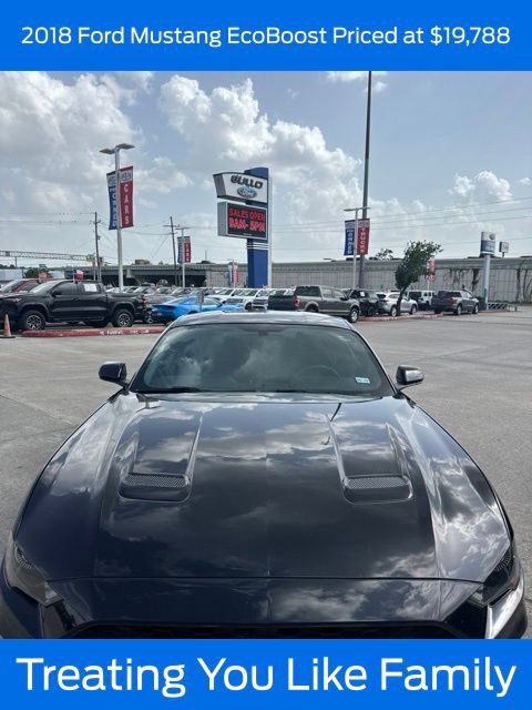 Certified 2018 Ford Mustang Coupe RWD image 1
