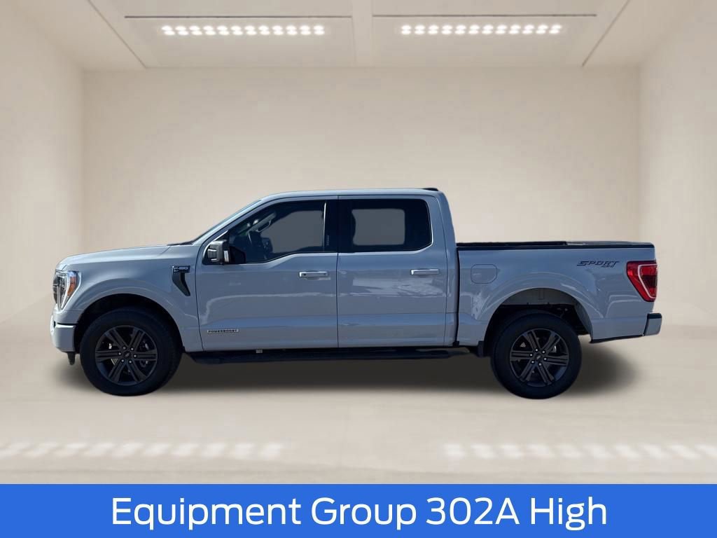 Certified 2023 Ford F150 XLT w/ Equipment Group 302A High image 2