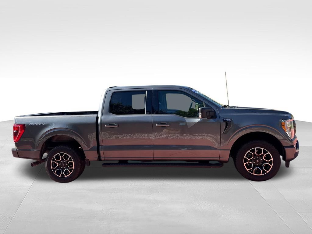 Certified 2023 Ford F150 XLT w/ Equipment Group 302A High RWD image 9