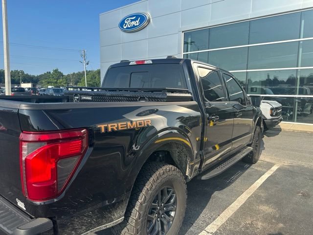 Certified 2025 Ford F150 Tremor AWD/4WD image 18