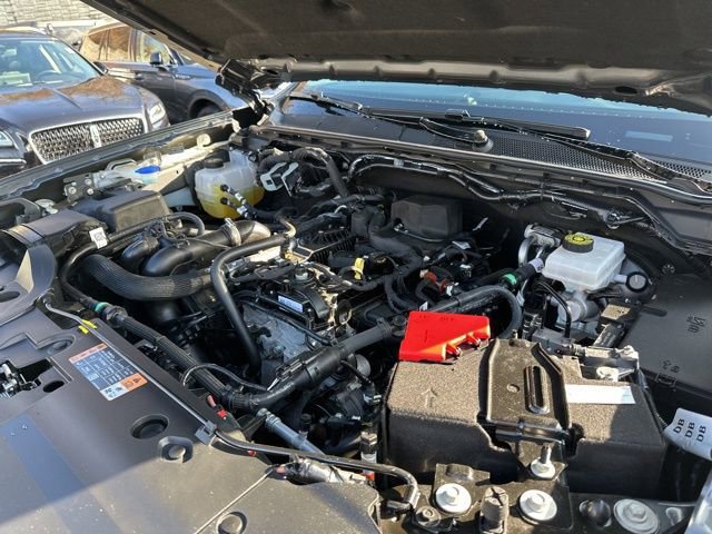 Certified 2024 Ford Ranger XLT w/ FX4 Off-Road Package image 42