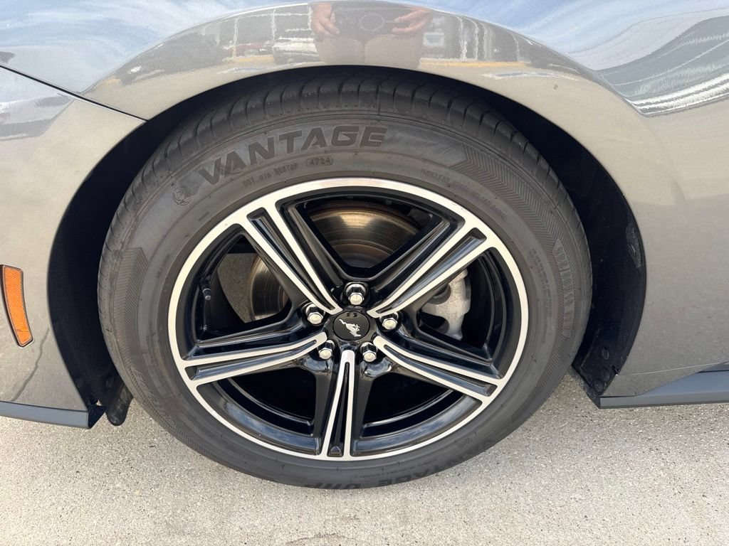 Certified 2024 Ford Mustang Premium RWD image 5