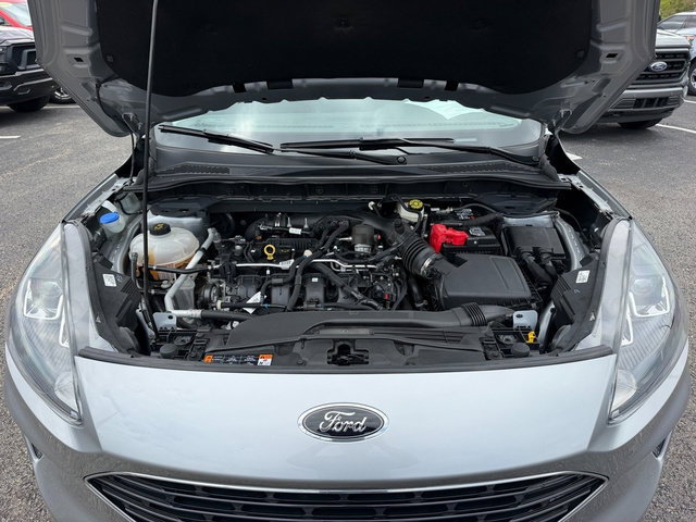 Certified 2022 Ford Escape SEL w/ SEL Stealth AWD Package image 15