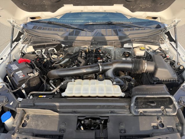 Certified 2024 Ford F150 XLT w/ Equipment Group 302A MID AWD/4WD image 24
