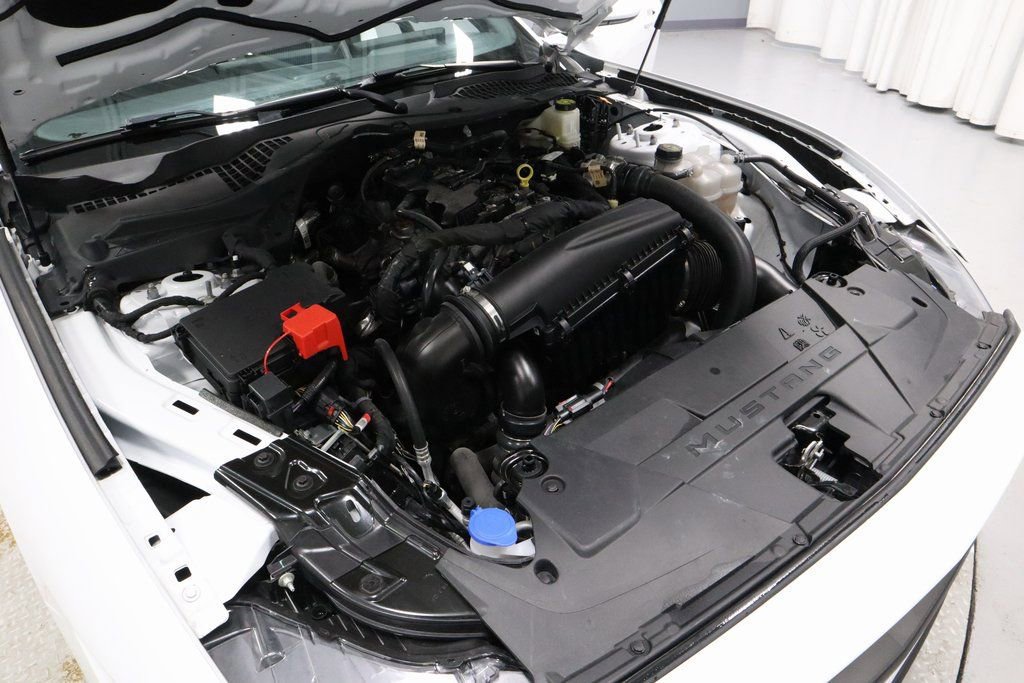 Certified 2024 Ford Mustang EcoBoost image 13