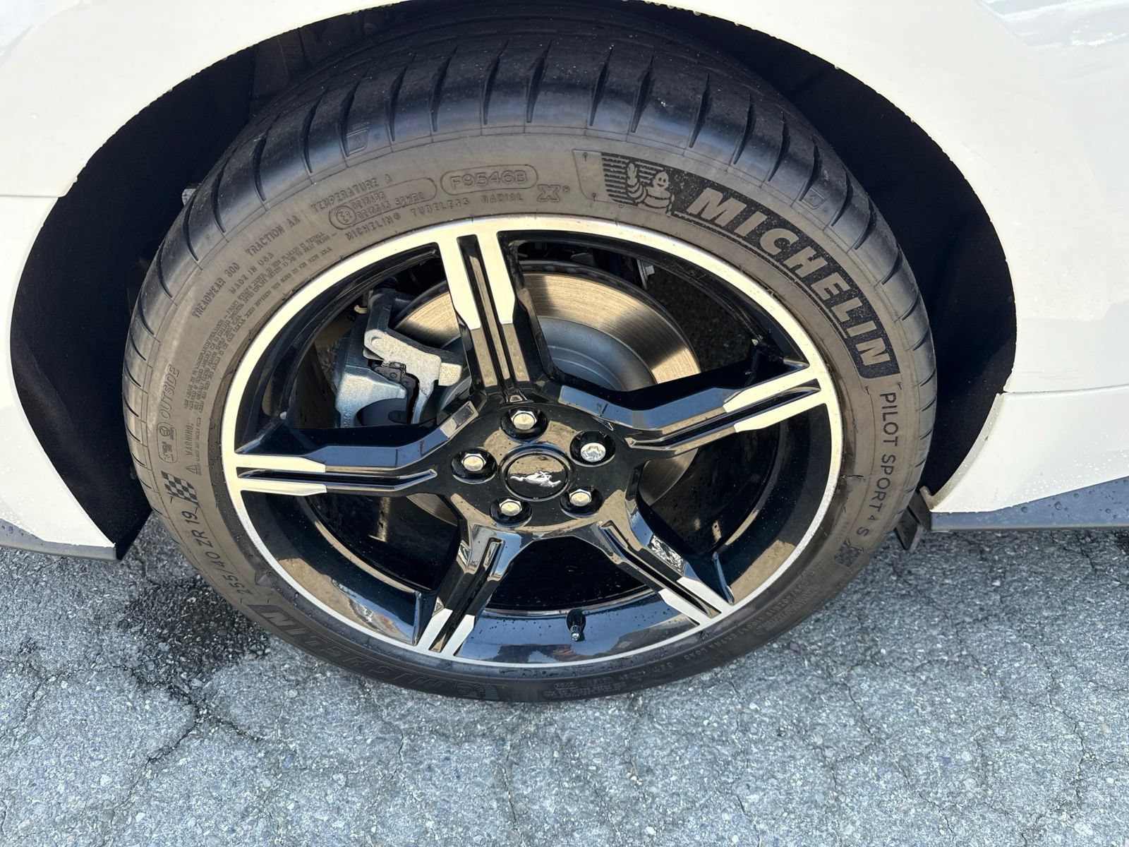Certified 2019 Ford Mustang GT Premium w/ California Special Package RWD image 20