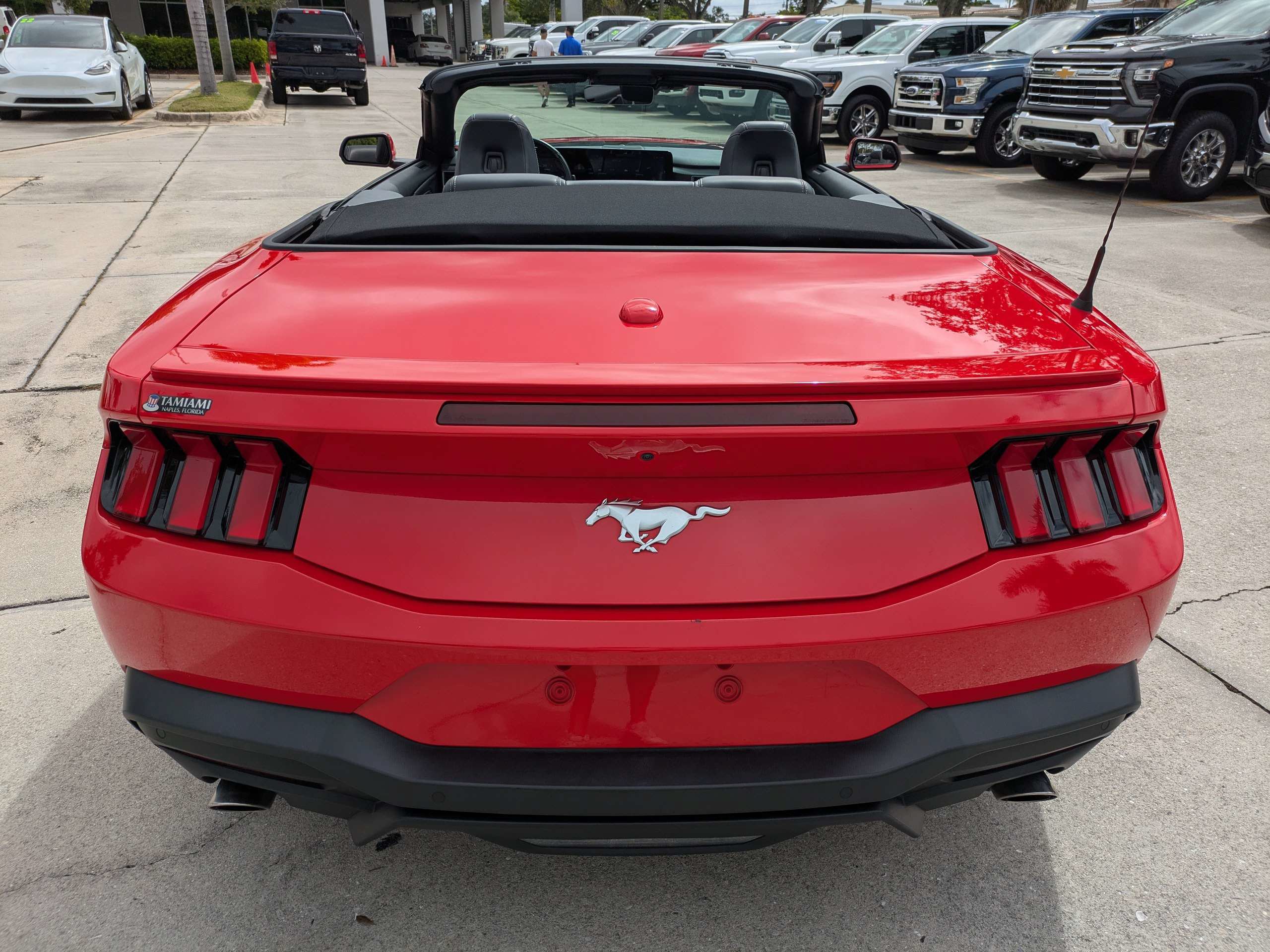 Certified 2024 Ford Mustang Premium RWD image 5