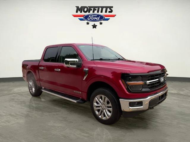 Certified 2024 Ford F150 XLT w/ Equipment Group 302A MID AWD/4WD image 7