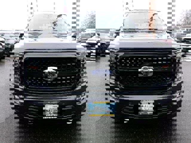 Certified 2022 Ford F150 Platinum w/ Equipment Group 701A High image 6