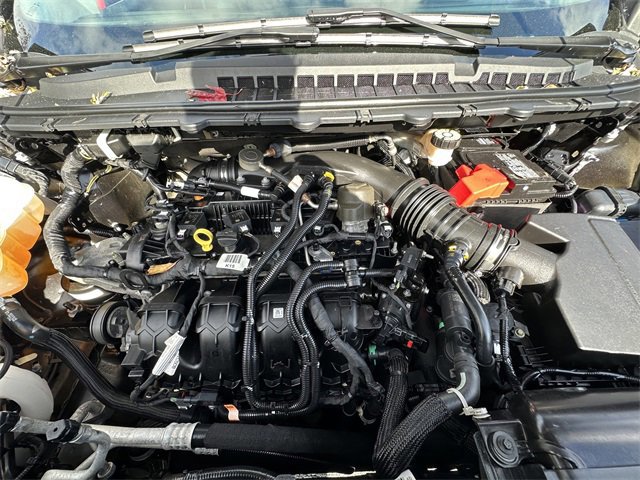 Certified 2021 Ford Edge Titanium w/ Cargo Accessory Package image 33