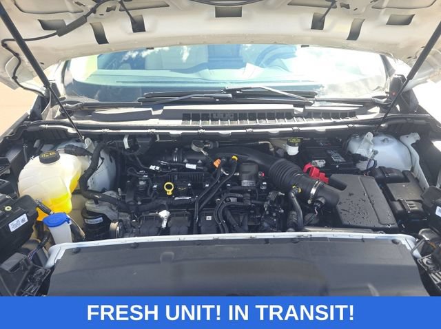 Certified 2024 Ford Edge SEL w/ Cargo Accessory Package AWD/4WD image 5
