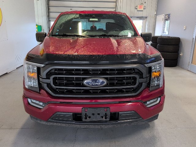Certified 2021 Ford F150 XLT w/ Equipment Group 302A High RWD image 6