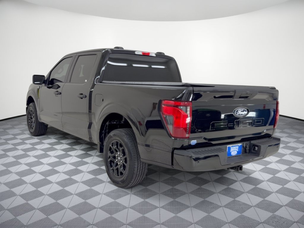 Certified 2025 Ford F150 STX RWD image 3