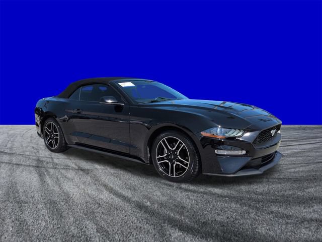 Certified 2019 Ford Mustang Premium RWD image 2