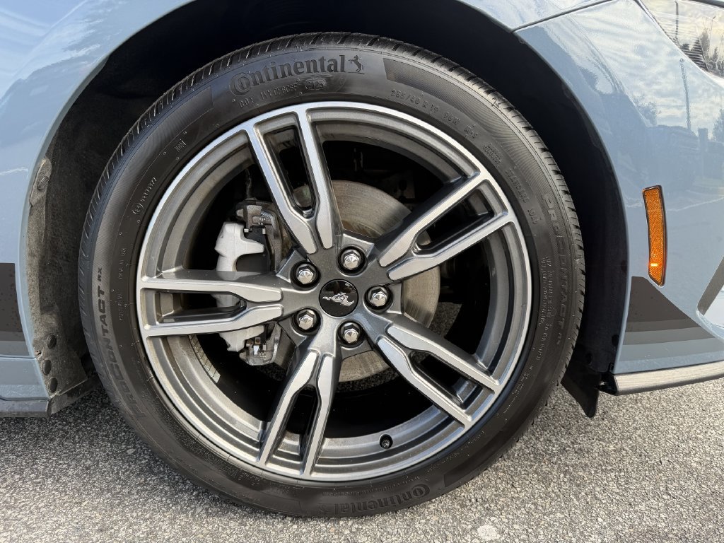 Certified 2025 Ford Mustang Coupe w/ Wheel & Stripe Package RWD image 9