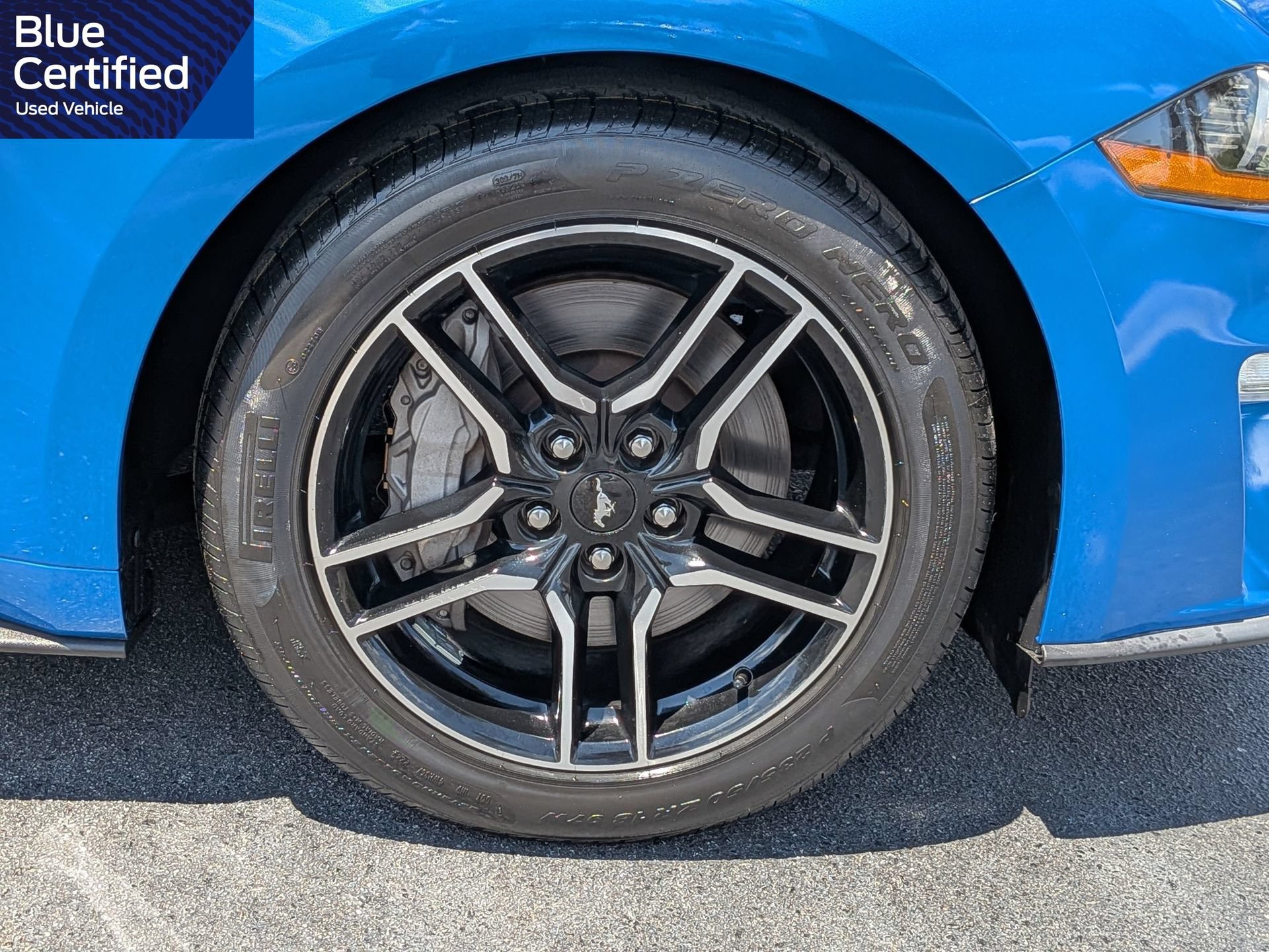 Certified 2019 Ford Mustang GT Premium w/ Equipment Group 401A RWD image 15