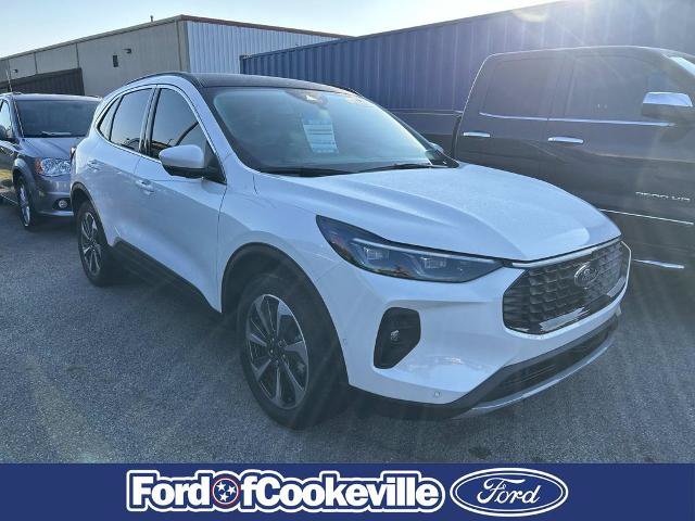Certified 2024 Ford Escape Platinum w/ Premium Technology Package AWD/4WD image 2