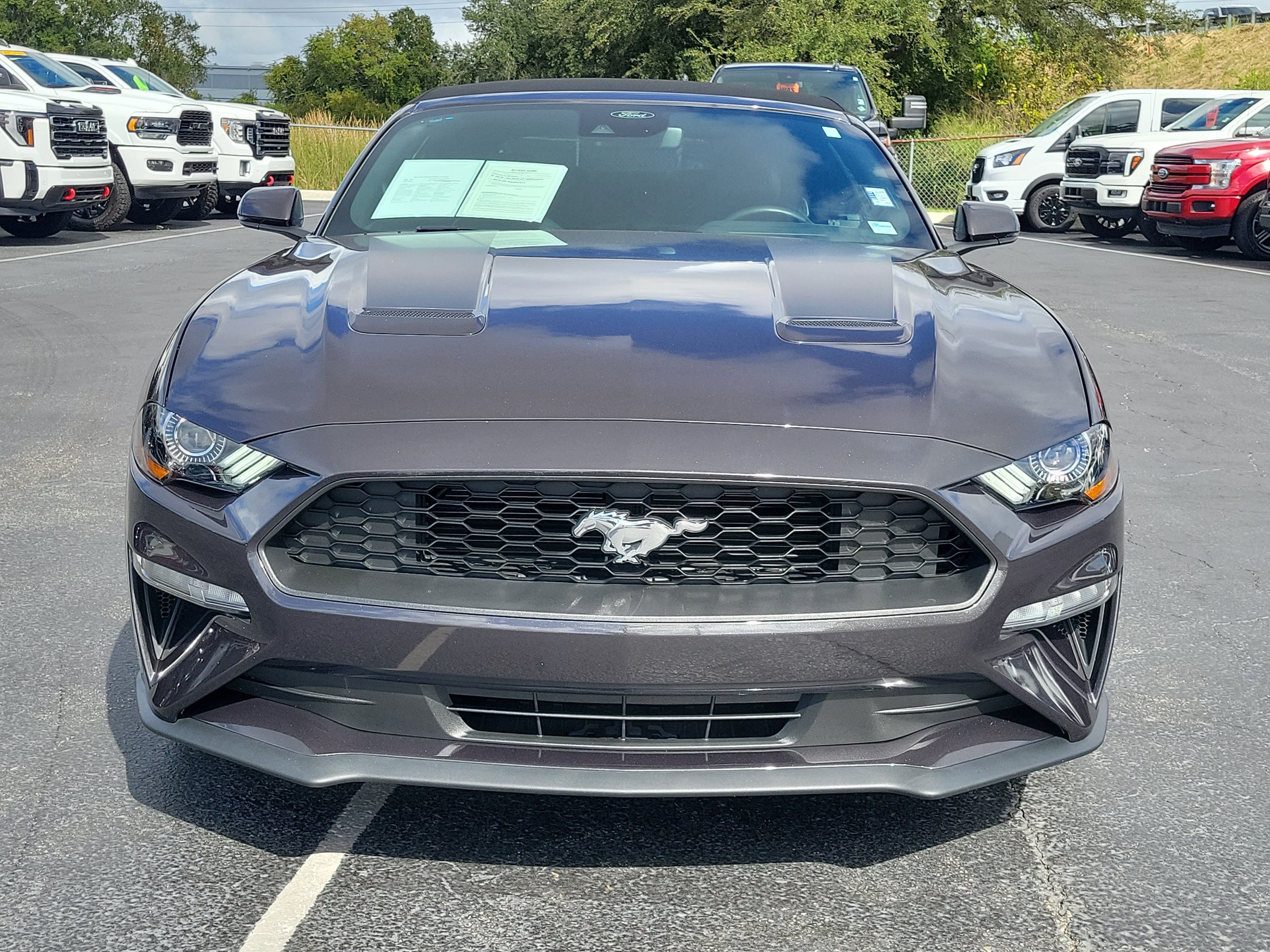 Certified 2023 Ford Mustang Premium w/ Equipment Group 201A RWD image 2
