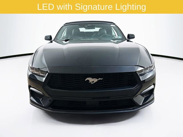Certified 2024 Ford Mustang Premium RWD image 2