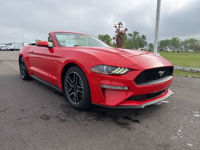 Certified 2020 Ford Mustang Premium RWD image 11