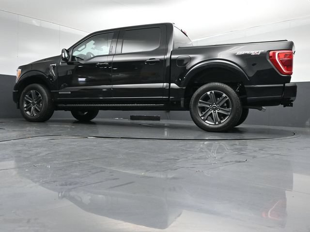 Certified 2023 Ford F150 XLT w/ Equipment Group 302A High AWD/4WD image 42