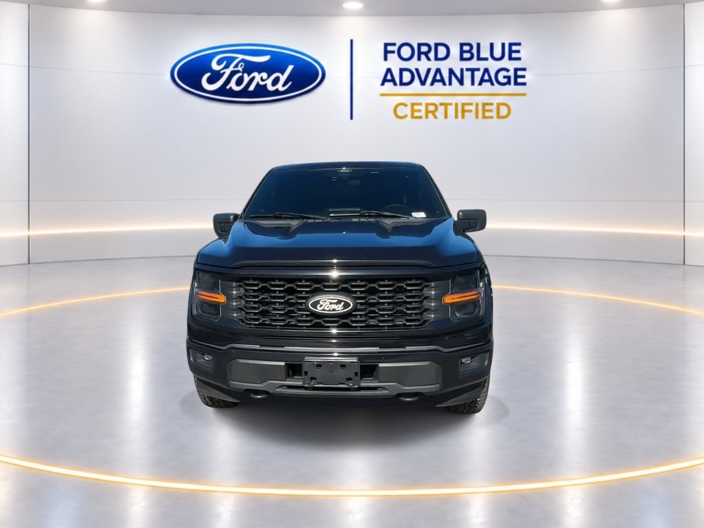 Certified 2024 Ford F150 STX w/ STX Black Appearance Package AWD/4WD image 3
