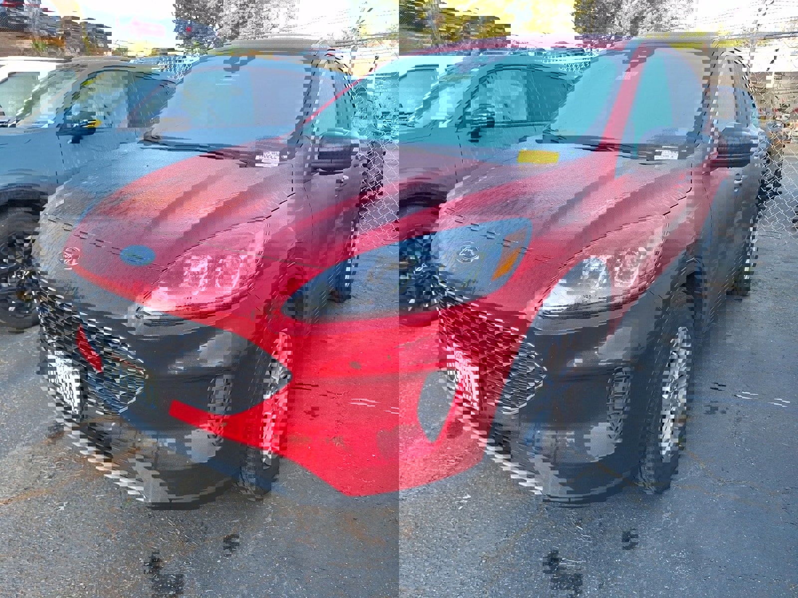 Certified 2022 Ford Escape SE image 3