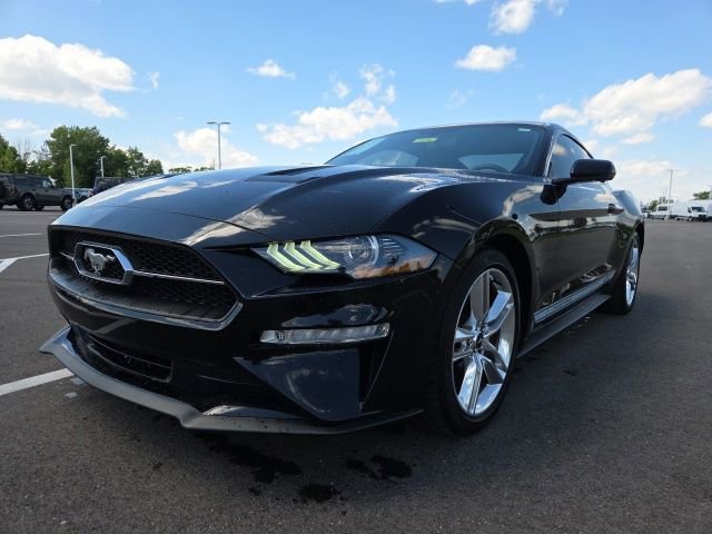 Certified 2019 Ford Mustang Premium w/ Equipment Group 201A RWD video 2