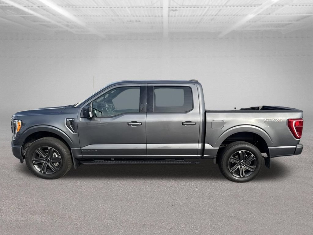 Certified 2023 Ford F150 XLT w/ Equipment Group 302A High AWD/4WD image 17