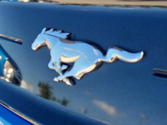 Certified 2021 Ford Mustang Premium RWD image 7