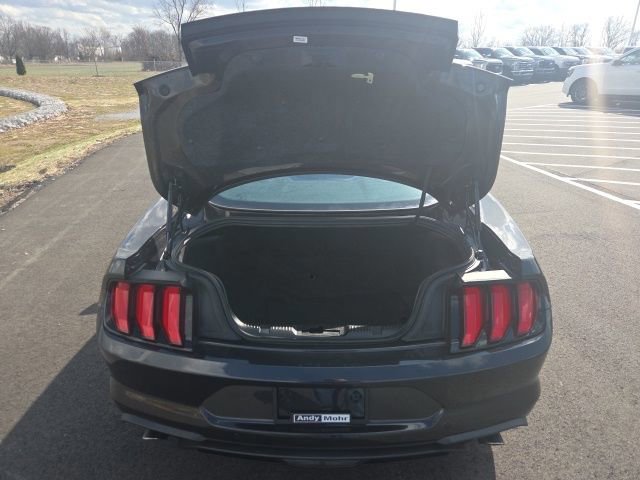 Certified 2023 Ford Mustang EcoBoost w/ Equipment Group 101A image 13