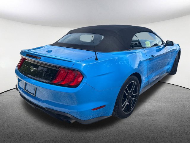 Certified 2022 Ford Mustang Premium RWD image 13