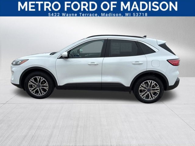 Certified 2020 Ford Escape SEL image 6