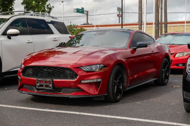 Certified 2023 Ford Mustang Coupe w/ Equipment Group 101A RWD image 3