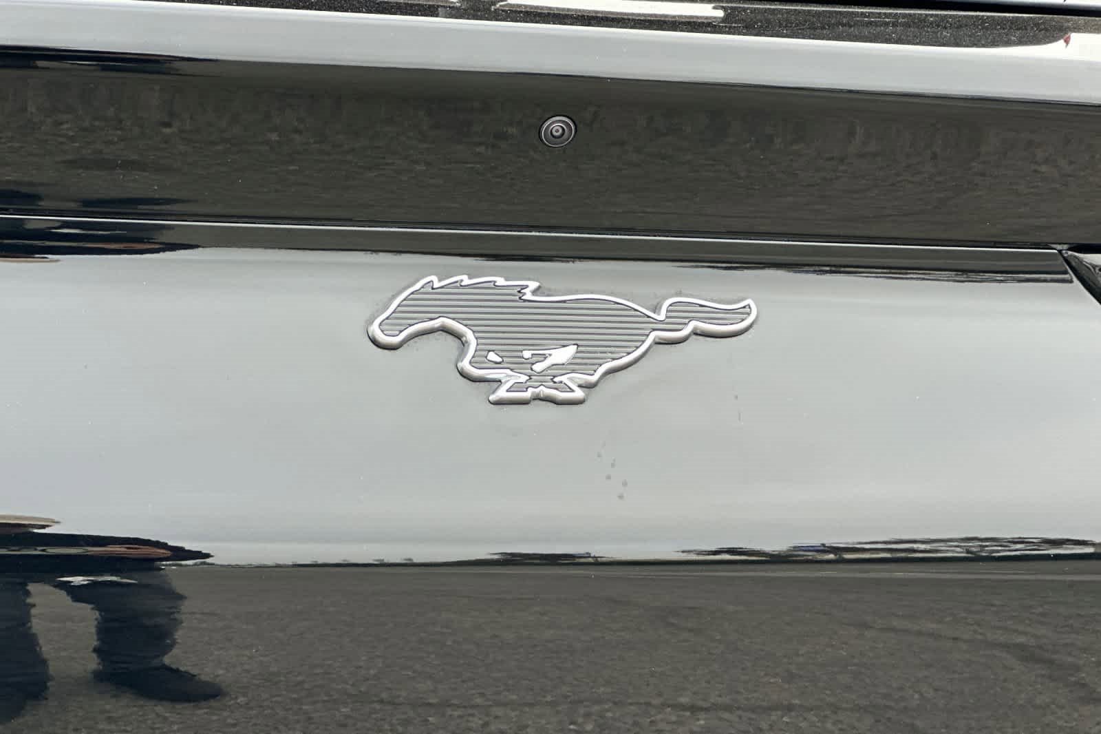 Certified 2022 Ford Mustang Mach-E Select image 26