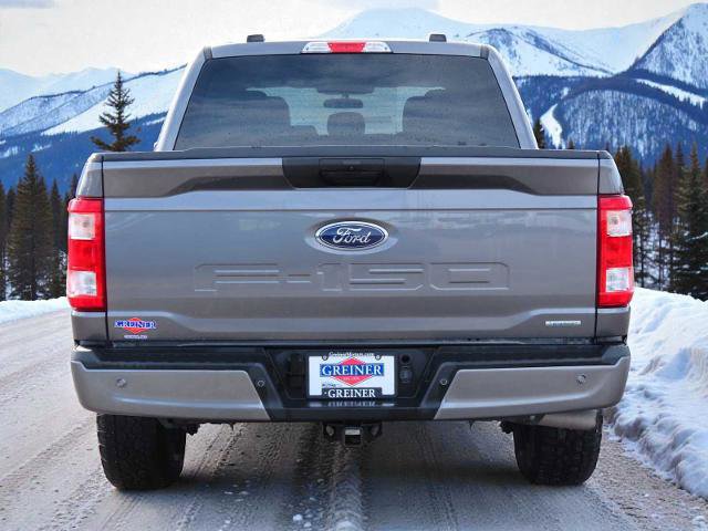 Certified 2023 Ford F150 XL w/ STX Appearance Package image 3