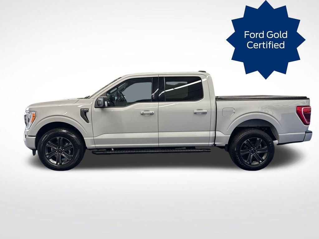 Certified 2023 Ford F150 XLT w/ Equipment Group 302A High AWD/4WD video 2
