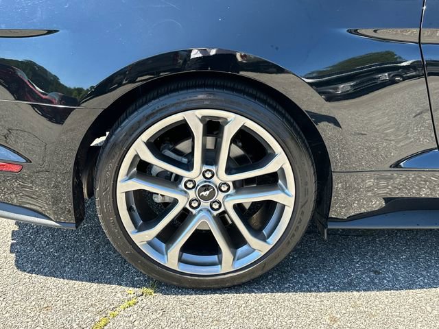 Certified 2021 Ford Mustang GT Premium w/ Equipment Group 401A RWD image 15