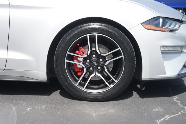 Certified 2019 Ford Mustang Premium RWD image 4