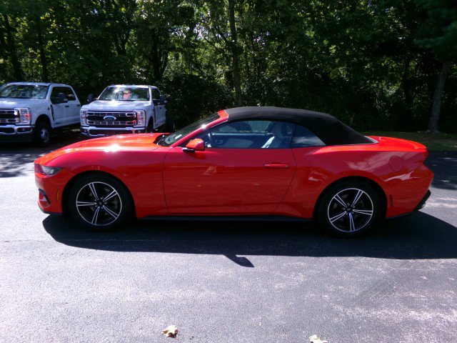 Certified 2024 Ford Mustang Premium RWD image 7
