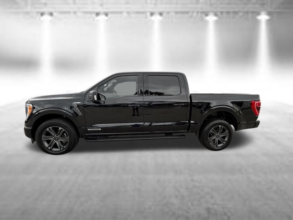 Certified 2023 Ford F150 XLT w/ Equipment Group 302A High AWD/4WD image 8