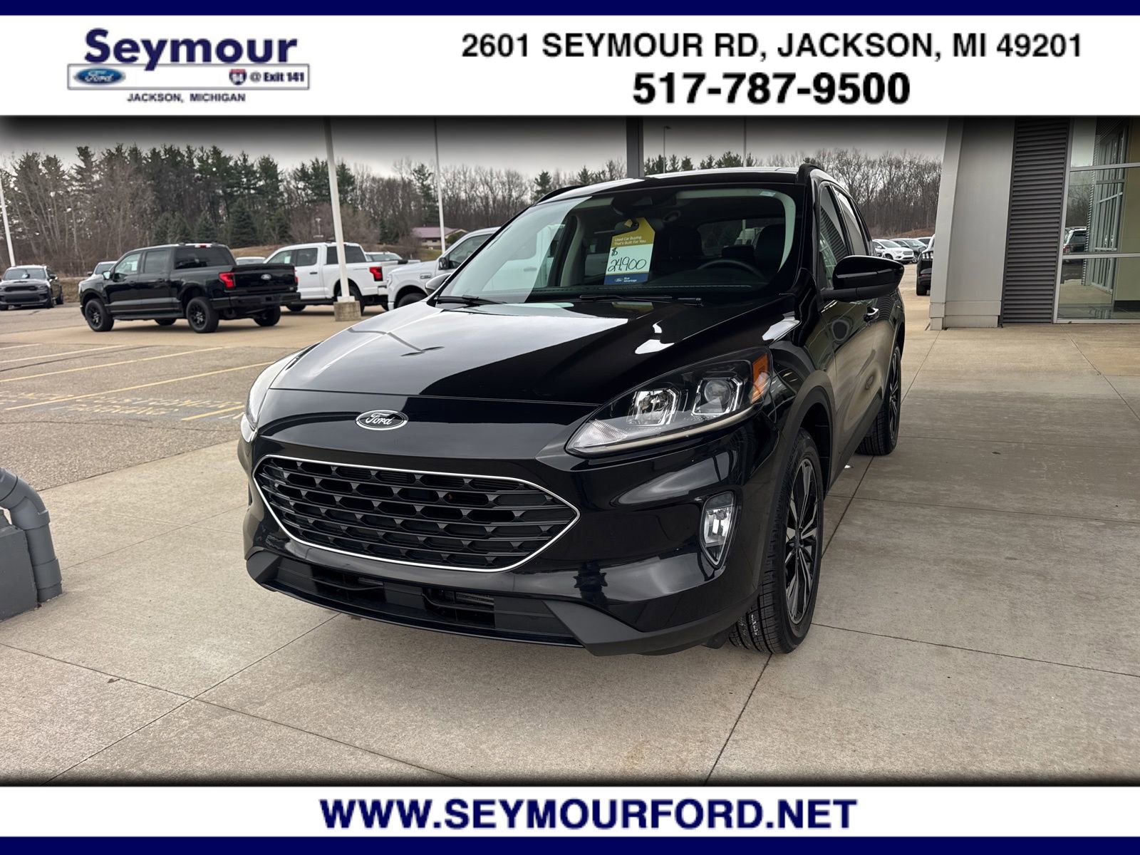 Certified 2022 Ford Escape SEL w/ SEL Stealth AWD Package image 9