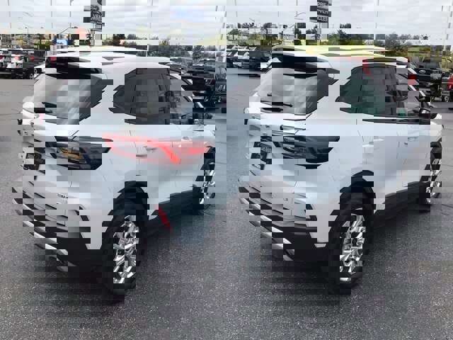 Certified 2025 Ford Escape Active image 4