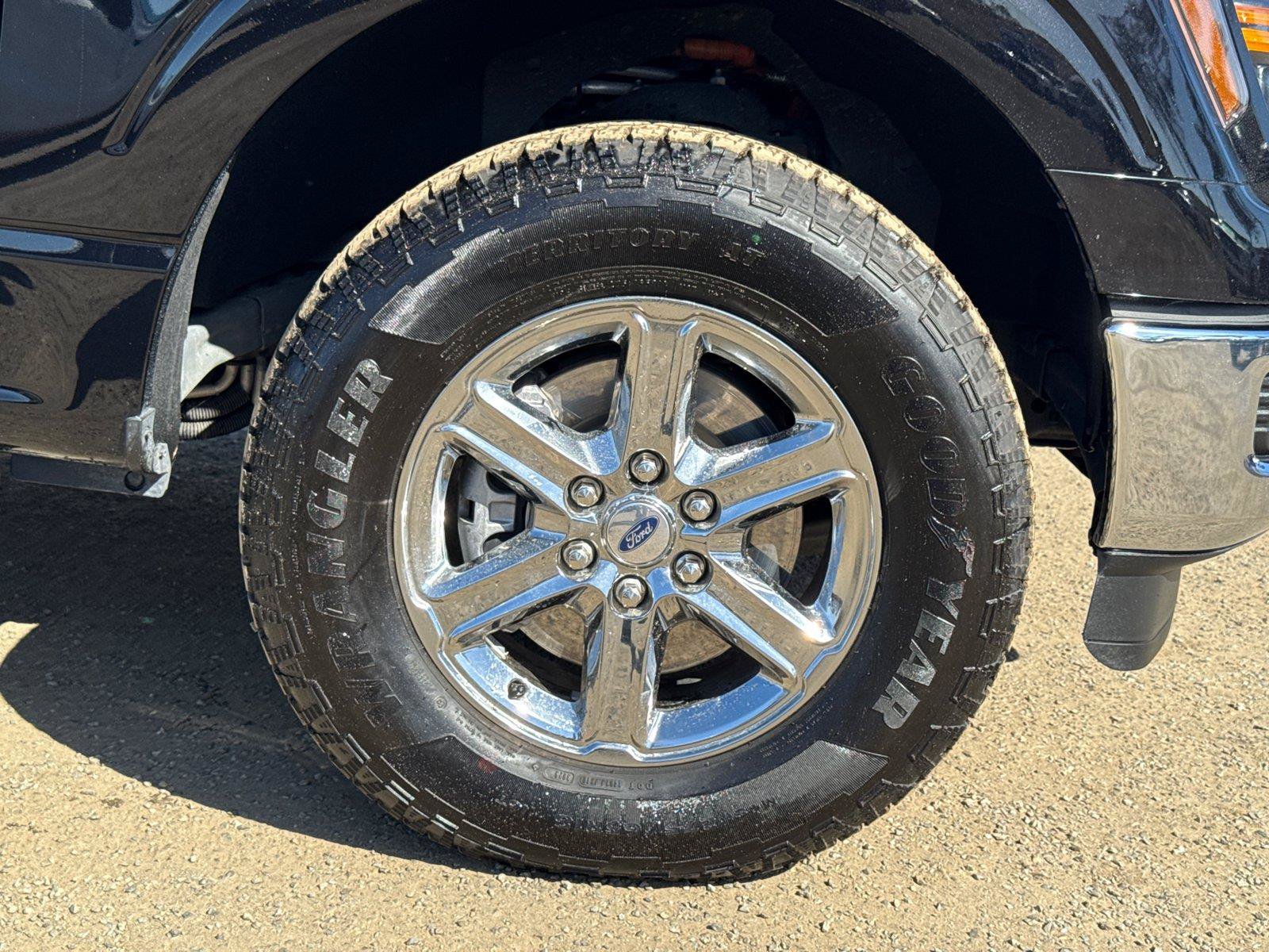 Certified 2025 Ford F150 XLT w/ Equipment Group 301A Standard AWD/4WD image 6
