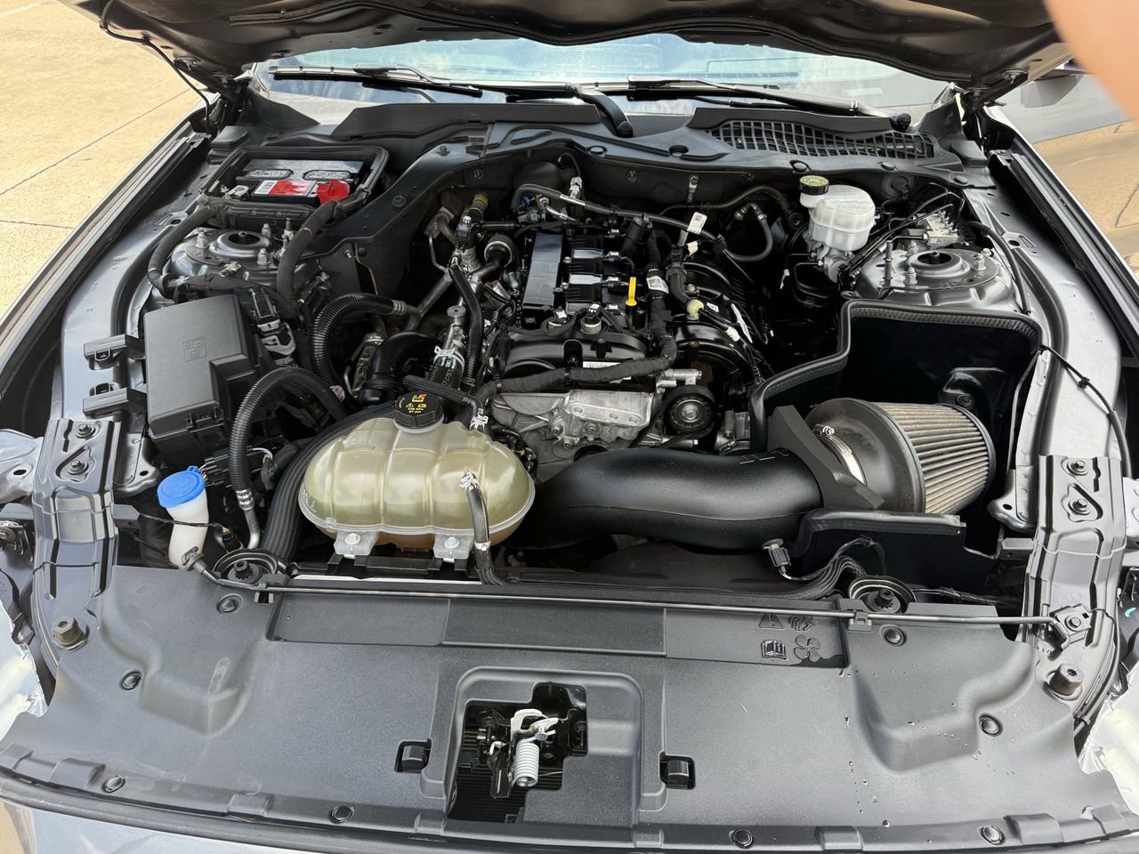 Certified 2022 Ford Mustang Coupe w/ Equipment Group 101A RWD image 25