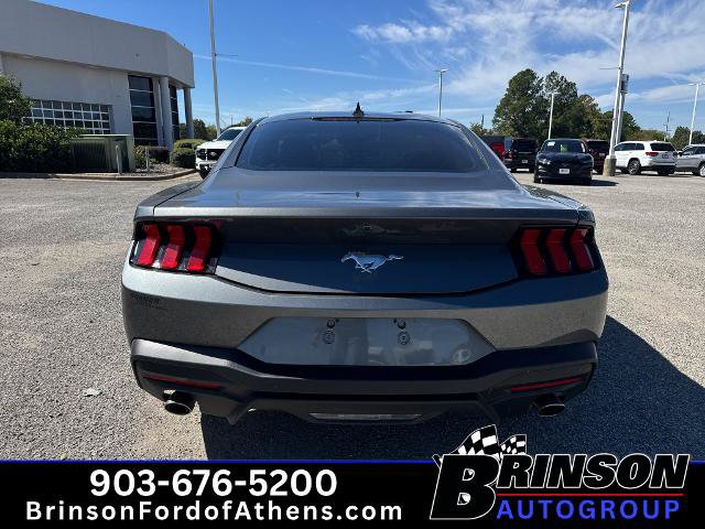 Certified 2025 Ford Mustang Coupe w/ Wheel & Stripe Package RWD image 6