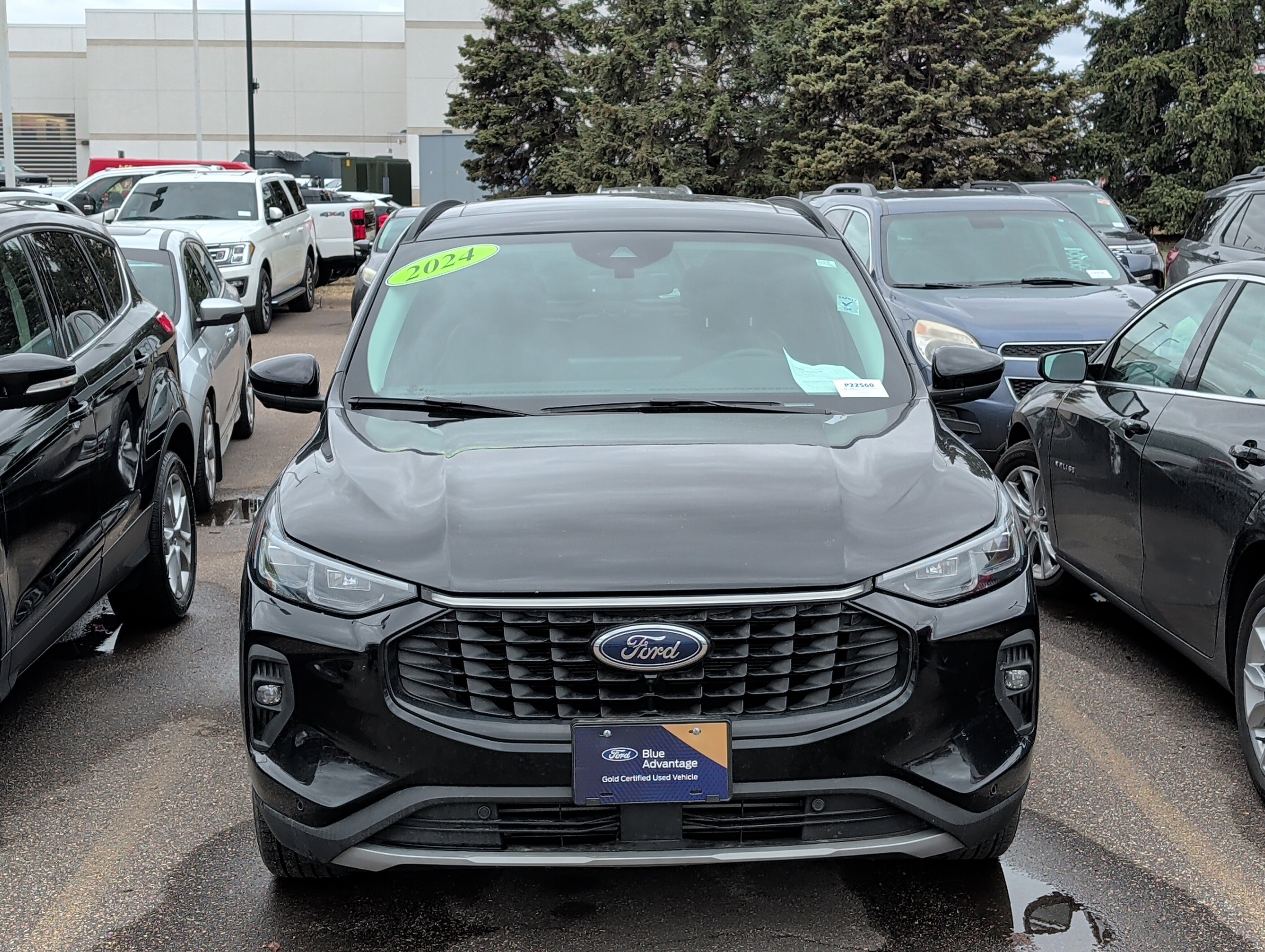 Certified 2024 Ford Escape Platinum image 5