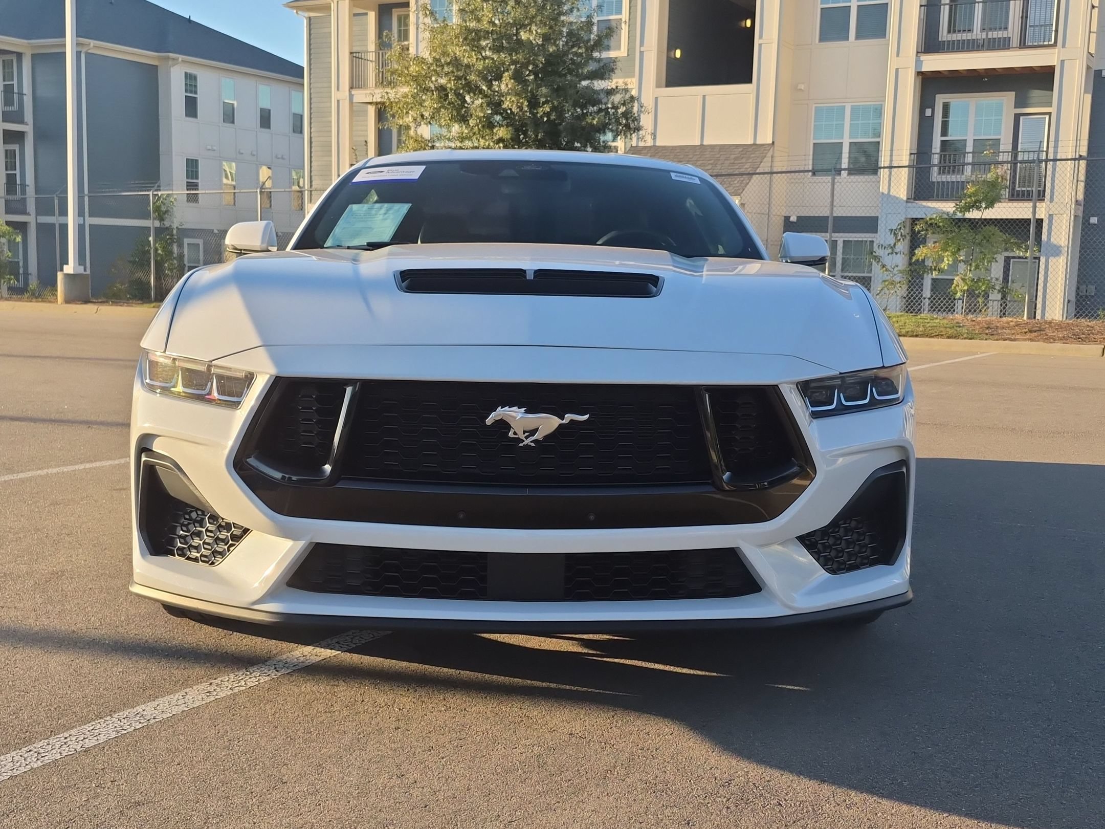 Certified 2024 Ford Mustang GT Premium RWD image 9