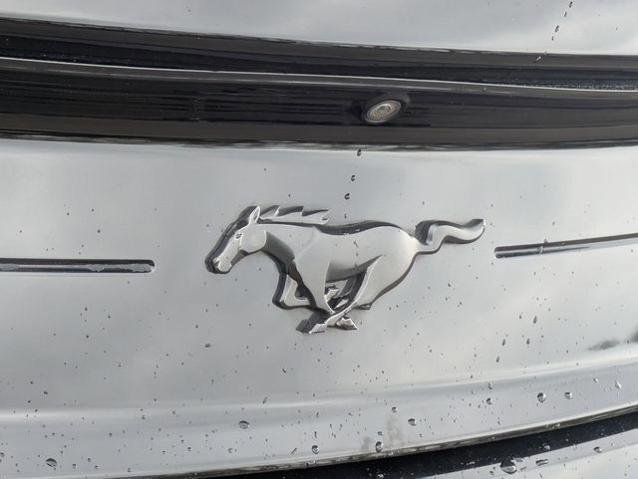 Certified 2019 Ford Mustang Premium w/ Ecoboost Performance Package RWD image 33