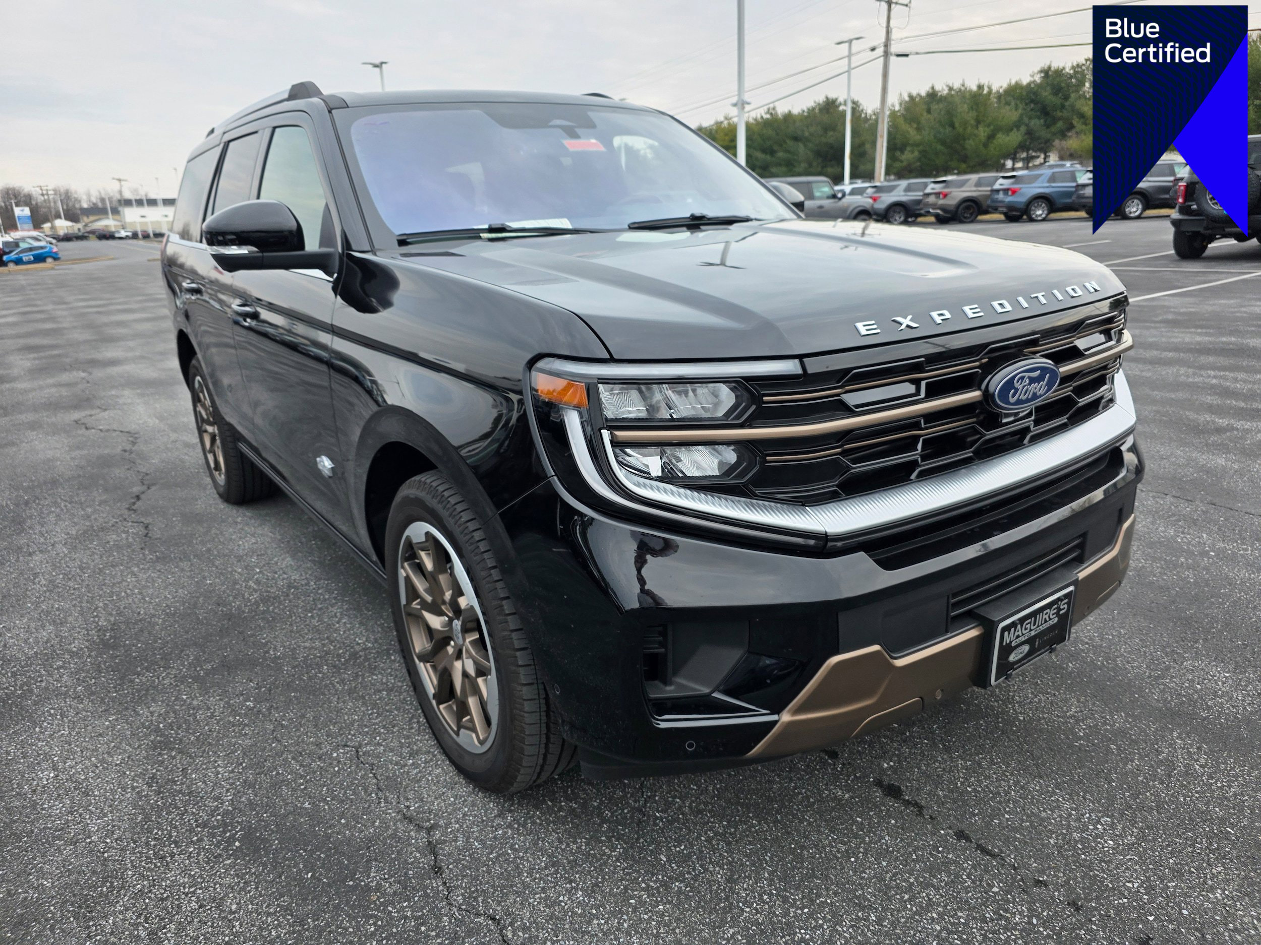 Certified 2025 Ford Expedition King Ranch image 1